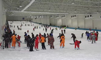 文成天鹅堡：教练费比门票还贵！