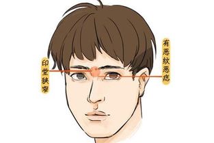 四、 那些让人“一见倾心”的细节碎片（随意拼凑）