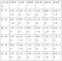 三、紫白九星布局——星光灿烂还是暗潮汹涌？