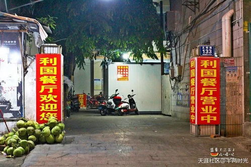 B. 随机文化底蕴活动列表（无逻辑）