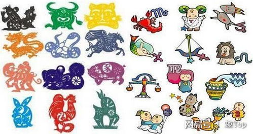 双子座？聪明？那都是假象！