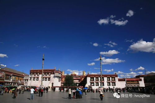 南岗区：滤镜粉碎机启动！