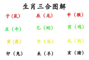 生肖运势揭秘一：属鼠的人怎样提升运势？
