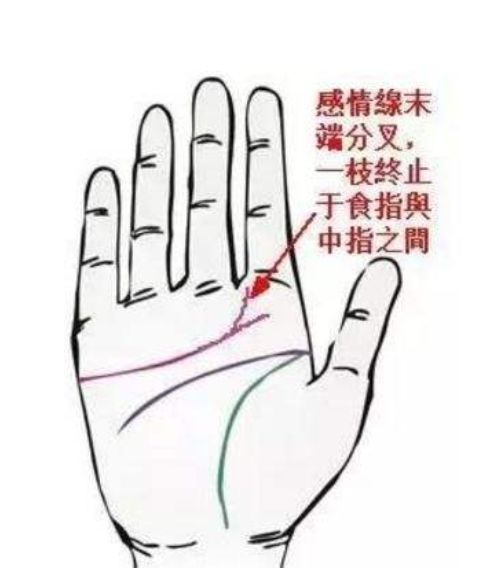 一、手相的隐秘性：不是随便能看的玩具