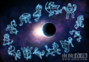 十二星座发疯指南