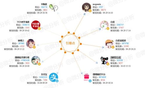 第一套组合——事业型精英路线