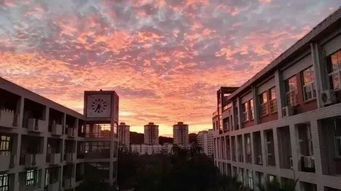 名校不再是遥不可及：春游清华北大