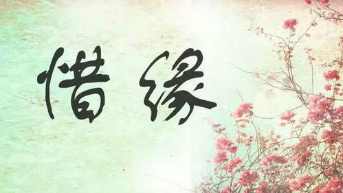 女孩八字争夫命，如何八字化解两夫争一女之局？