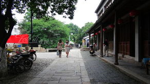 平江路的秘密：主街都是骗游客的