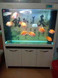 鱼缸：遇水则发？小心漏财哦…