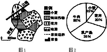 心理状态学视角的解读