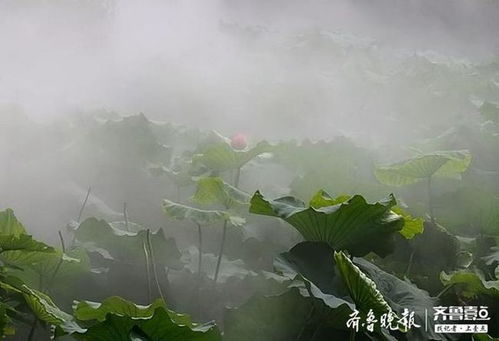 初入山林，似曾相识