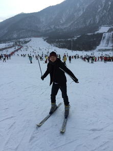 2. 滑雪道分布：适合所有水平