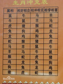 1980年属猴的人哪一年运势最旺，与猪年相遇的老黄历有何说法？