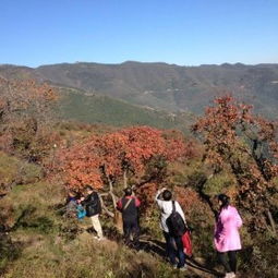 香山公园：曾经的皇家后花园