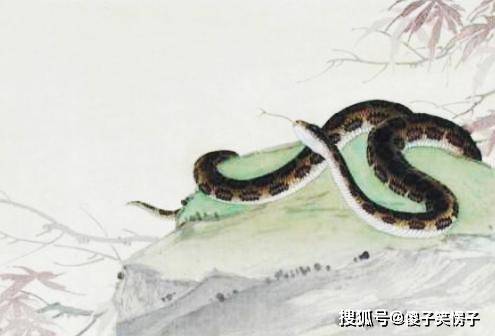 2026年属蛇人的感情和婚姻状况会有哪些具体表现？