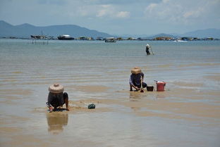 4.2 海陵岛， 那个让人又爱又恨的地方