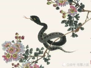 26年8月出生属蛇男士，每日财运招财转运物件是什么？