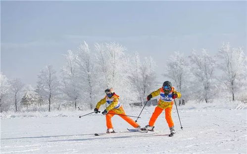 情绪化描写：滑雪时我感受到哪些？