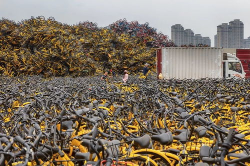 共享单车的坟场,城市geng美观