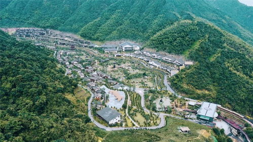 上庸文化底蕴：历史持续发展的沉淀