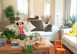 客厅：全家的活动中心