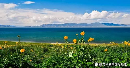 夏夜狂想曲：星空下的较大排档与蚊子之舞