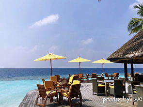 活动项目：花钱找罪受