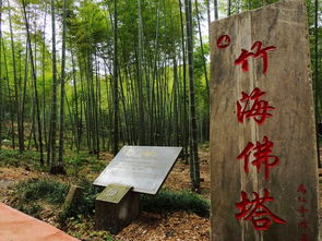 竹香茶舍：随意坐坐也算旅行