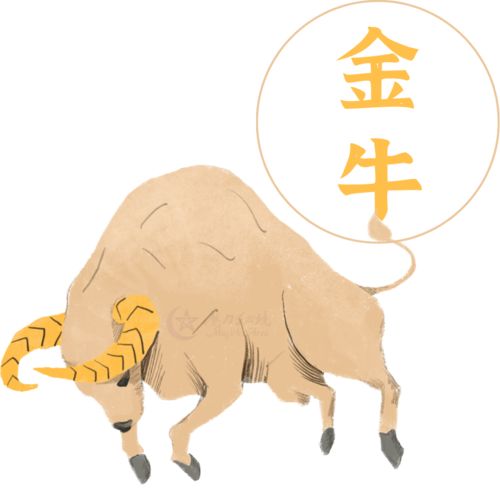 狮子和双鱼：一个愿打一个愿挨