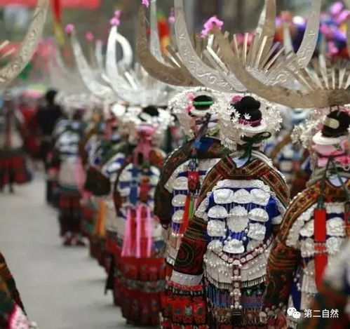 苗族鱼文化：神秘鱼图腾，独特魅力传承