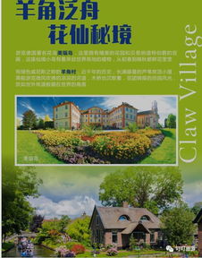 饮食探险：舌尖上的记忆碎片