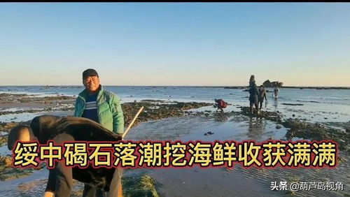 2. 绥中碣石海滩：历史与海鲜的“跨界混搭”