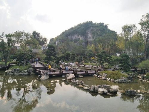 二、 玉屏公园：历史持续发展与绿意的拼贴画
