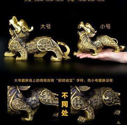 B2. 预约与准备