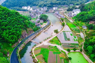 Yueyang 的真实相 :过去它的底色生活才是它的灵魂