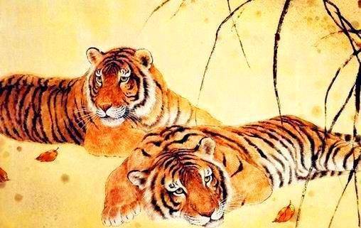 1986年属虎人2026年运势如何，招财物件具体指什么？