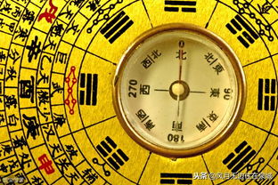 微信子非鱼算命真的准吗？骰子微信玄学占卜靠谱吗？