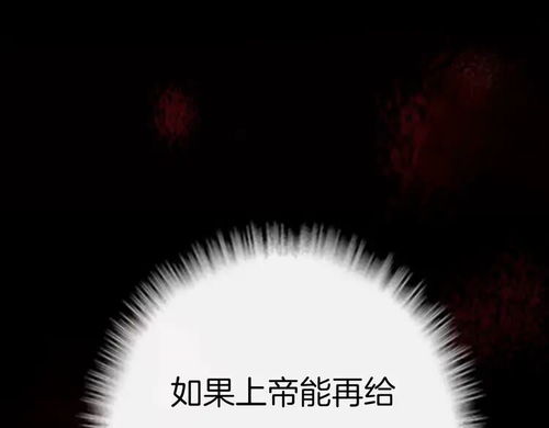 记忆碎片：星辰、 生肖、风水交错成网