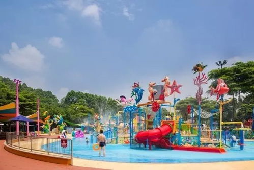 三、怎样抓住优惠？实用攻略拆解版：