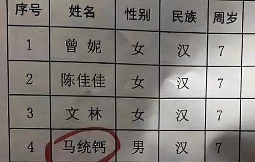 姓名解析：刘芷彤——命运之线与星辰轨迹