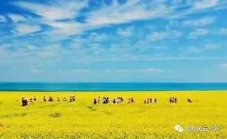 二、路上的风景：其实也挺无聊的