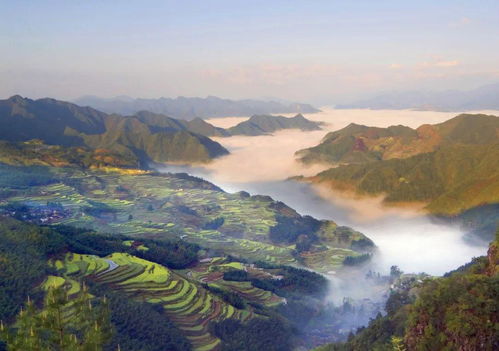 省钱妙招？都是坑爹套路