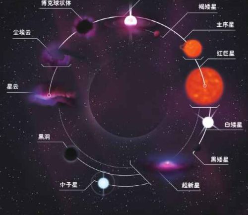 2026年黄历预警！水命人必看
