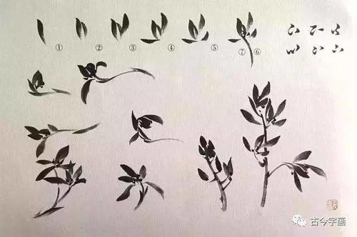 国画兰花的风水效应,国画兰花的风水效应