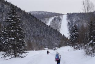 七、 东北雪乡——寒冷到骨头里却暖到灵魂深处（前提是你爱冻死）