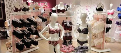 1. 为哪些内衣店的名字这么十分沉关键？