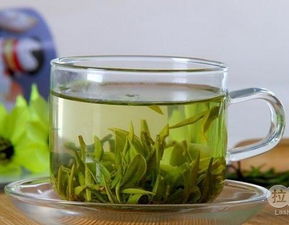 四、 陌芝源茶坊——据说专注全场景服务，却总在营业时间段外关门