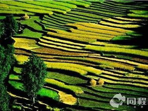5块钱门票的秘密：天上掉馅饼还是陷阱？