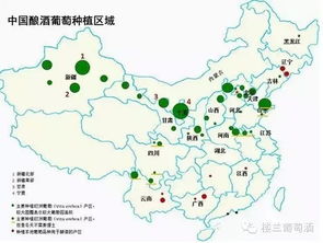 当旅游幻想被现实狠狠打脸：昌黎抚宁的另类生存指南